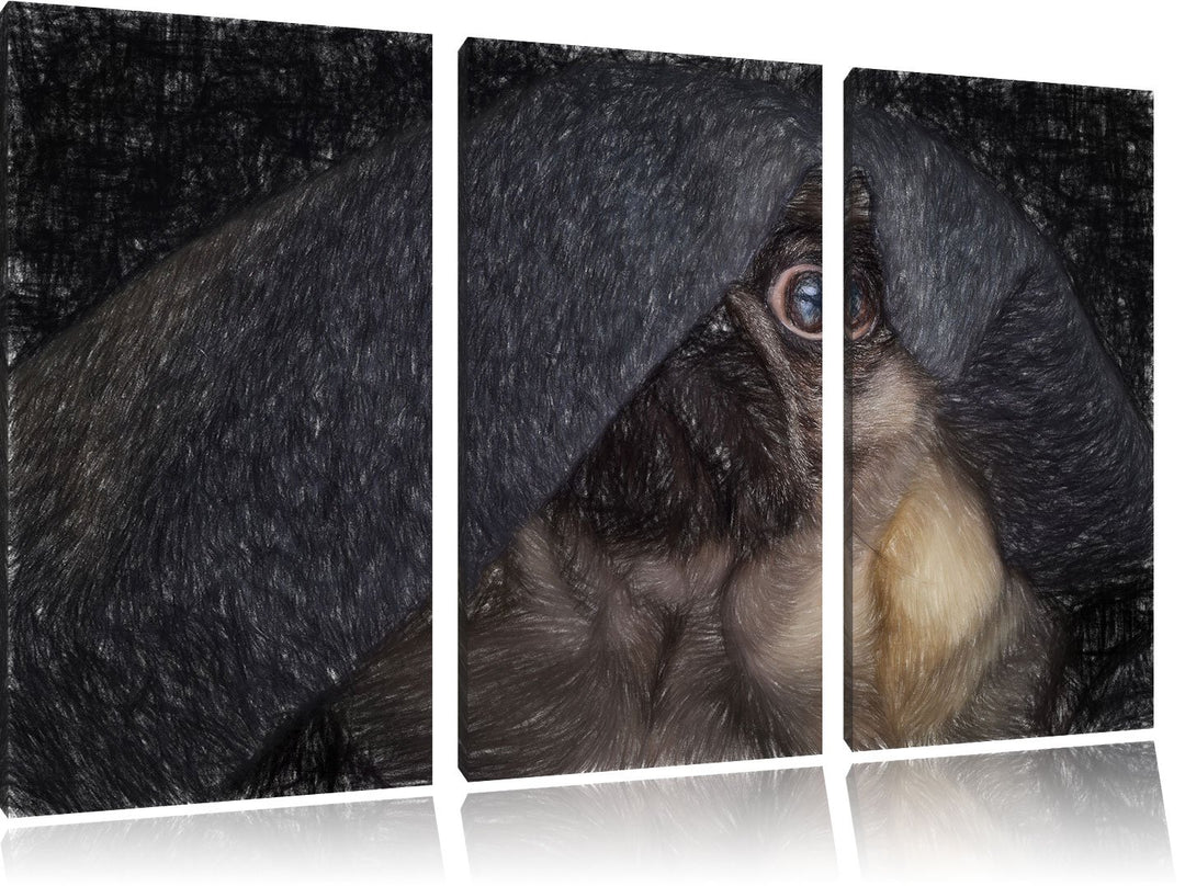 Pixxprint Mops Decke / 3-Teilig/Gesamtmass 120cm Leinwandbild bespannt auf Holzrahmen/Wandbild Kunst