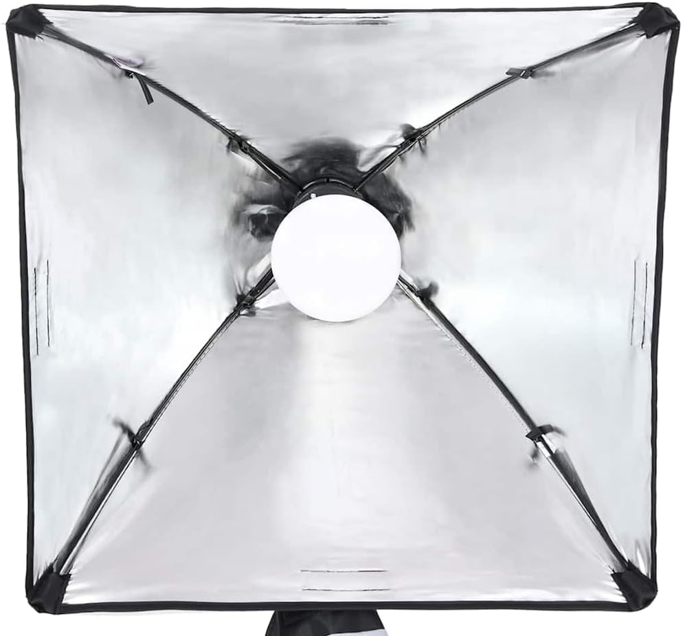 vidaXL Fotostudio-Set mit Beleuchtung und Hintergrund, Studio-Kit, Tageslicht-Lampe, Studio-Beleucht