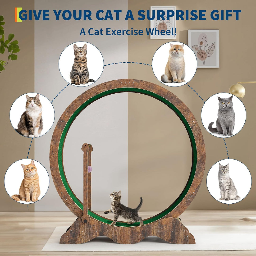 Katzenlaufrad 115cm für Indoor-Katzen - Laufband mit abnehmbarem Teppich, Sicherheitssperre und Spie