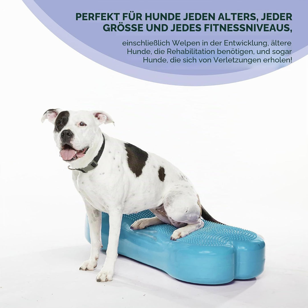 FitPAWS Giant Fitbone (blau)