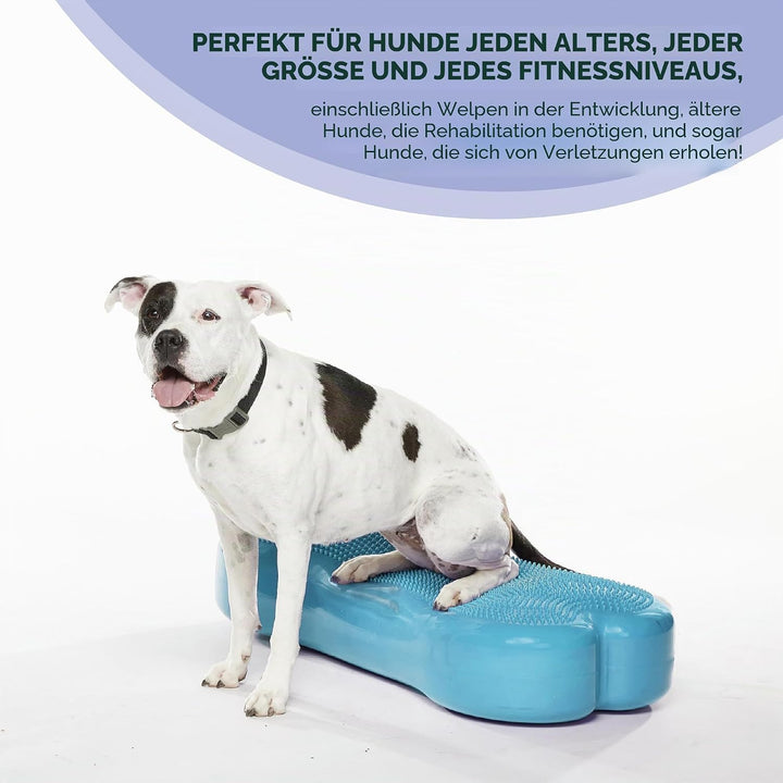 FitPAWS Giant Fitbone (blau)