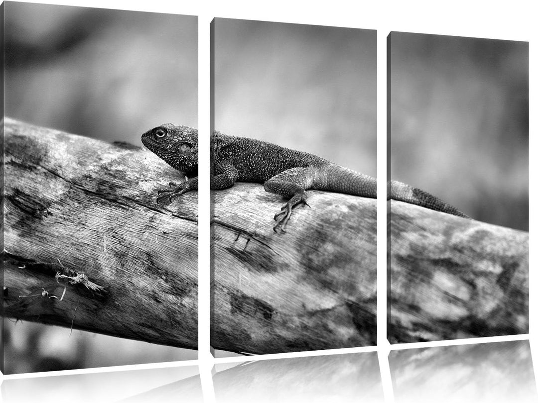 Pixxprint farbenfrohe Eidechse als Leinwandbild | Grösse: 3 Teilig (120x80) | Wandbild| Kunstdruck |