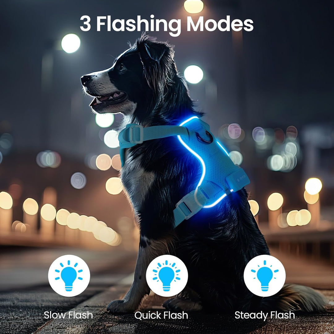 Light Up Dog Hundegeschirr Leuchtend LED Aufladbar - Leuchtgeschirr Leuchtend für Klein Mittelgrosse