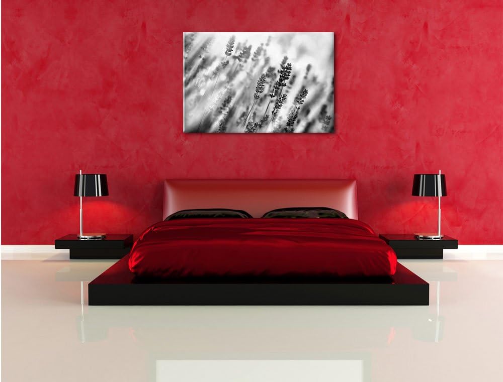 Pixxprint Monocrome, Schöner Lavendel im sanften Licht, Format: 100x70 auf Leinwand, XXL riesige Bil