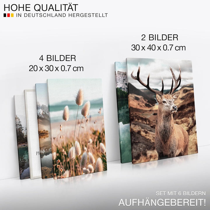 Novart Bilder Set - AUFHÄNGFERTIG - KEIN EXTRA RAHMEN BENÖTIGT - Wald Hirsch Modern Natur Berge - Wo
