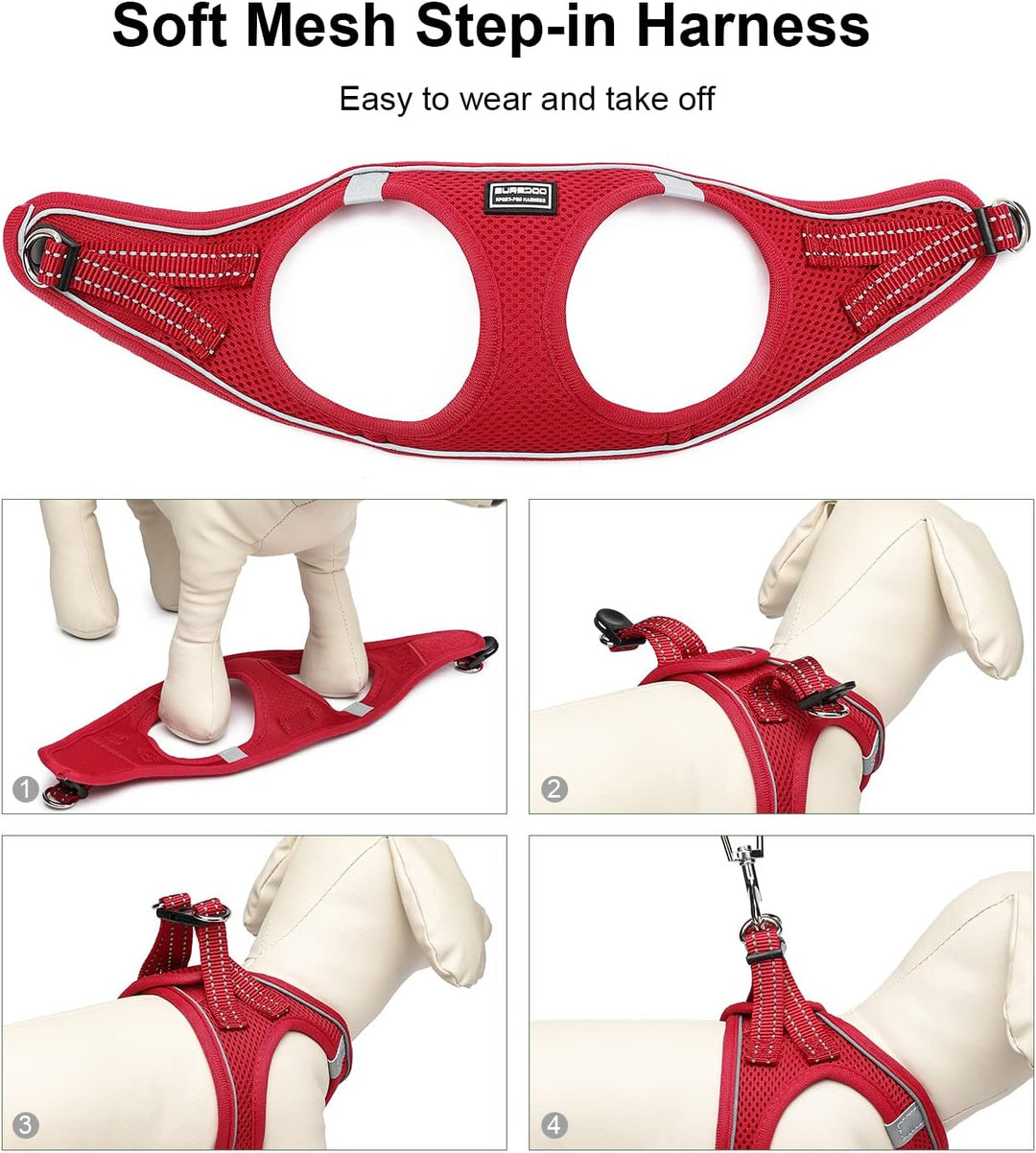 Suredoo Hundegeschirr mit Leine Anti Zug Geschirr Reflektierend Brustgeschirr für Kleine Hunde, Haus