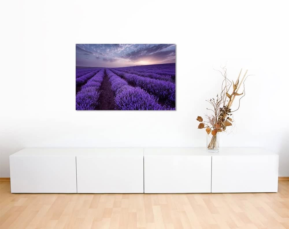 Sinus Art Landschaftsfotografie Lavendelfelder bei Sonnenaufgang auf Leinwand Exklusives Wandbild Mo