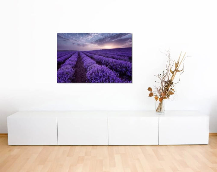 Sinus Art Landschaftsfotografie Lavendelfelder bei Sonnenaufgang auf Leinwand Exklusives Wandbild Mo