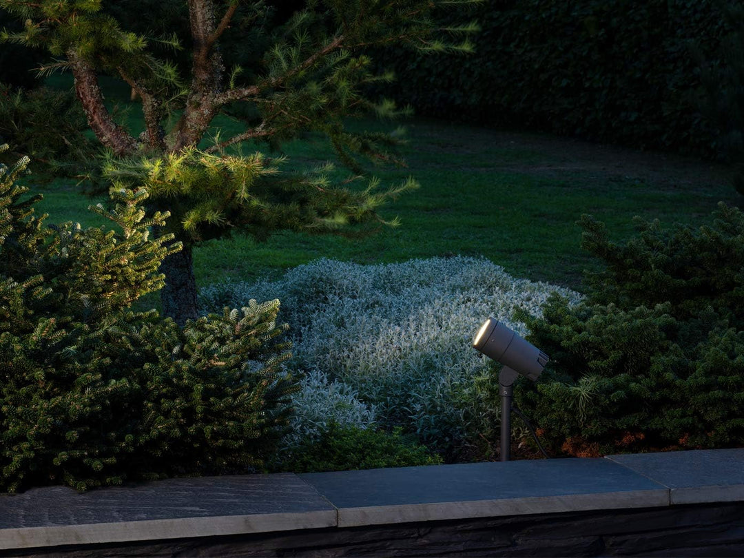 Andria Spot LED