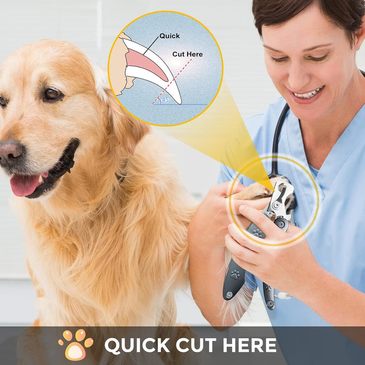 Bester Hunde-Nagelschneider für angstempfindliche Hunde, leise, schärfste und glatteste Hunde-Nagelk