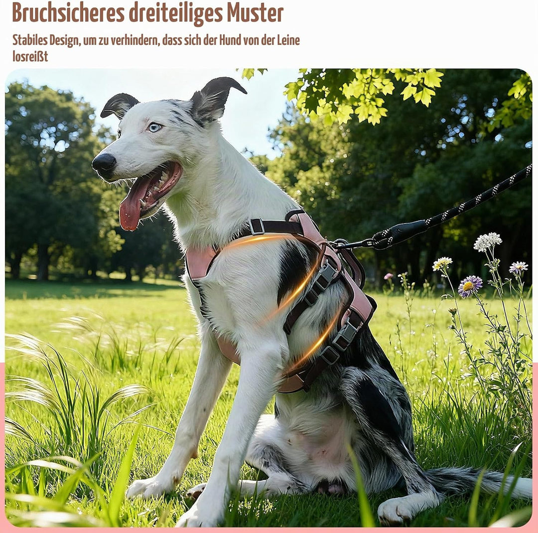Mehrzweck-hundegeschirr, Ausbruchsicheres Anti Zug Hundegeschirr, Anti Zug Geschirr Hund Sicherheits