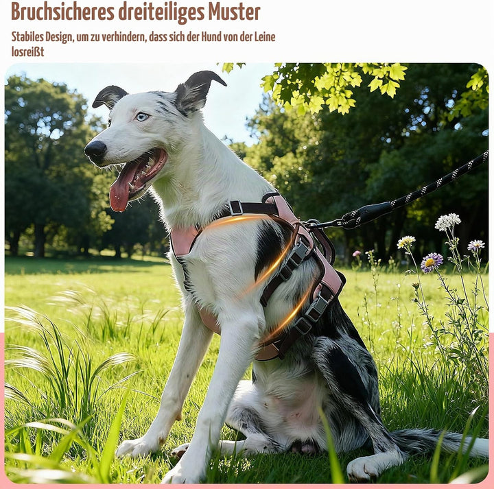 Mehrzweck-hundegeschirr, Ausbruchsicheres Anti Zug Hundegeschirr, Anti Zug Geschirr Hund Sicherheits