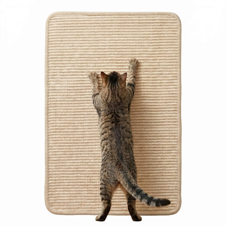 Sisal Kratzmatte für Katzen zur Wandmontage, 60x40cm Kratzmatte selbstklebend mit Klettband, Katzen