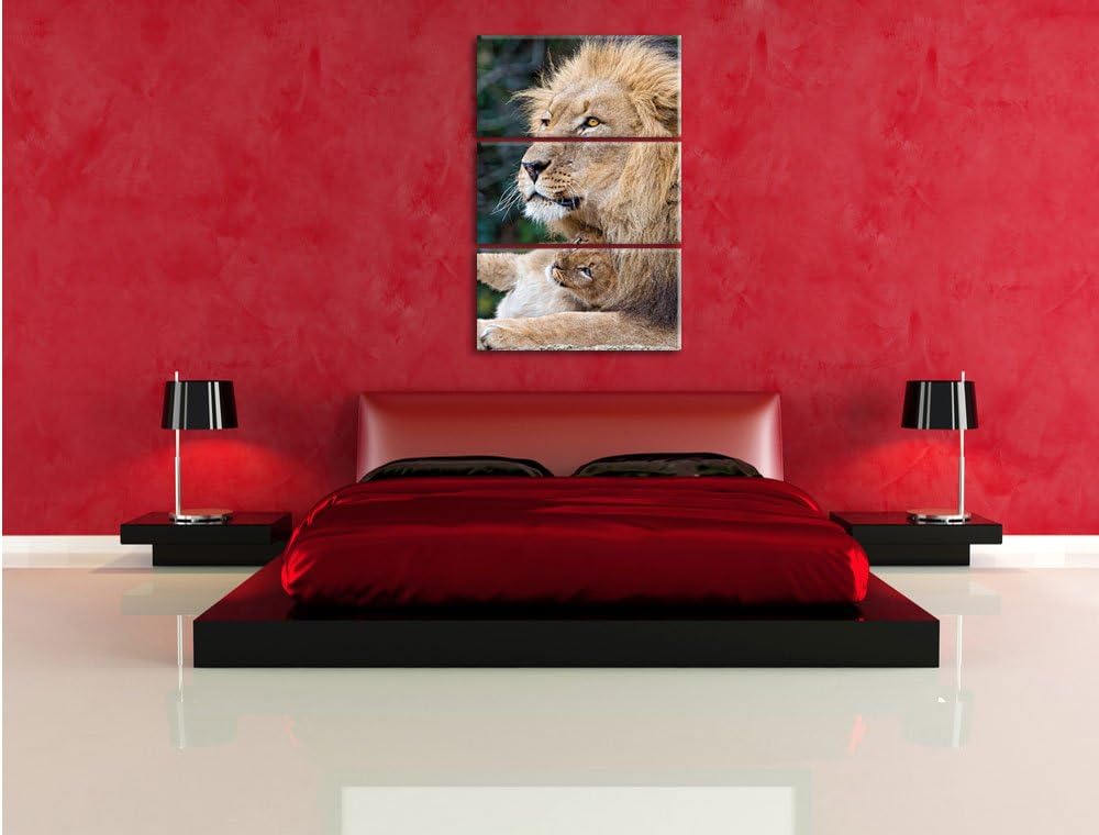 Pixxprint liebevoller Löwe mit Jungtier als Leinwandbild/Grösse: 3 Teilig (120x80) cm/Wandbild/Kunst