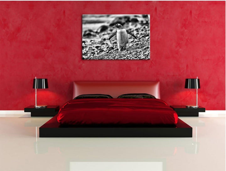 Monocrome, Pinguine, Format: 100x70 auf Leinwand, XXL riesige Bilder fertig gerahmt mit Keilrahmen,
