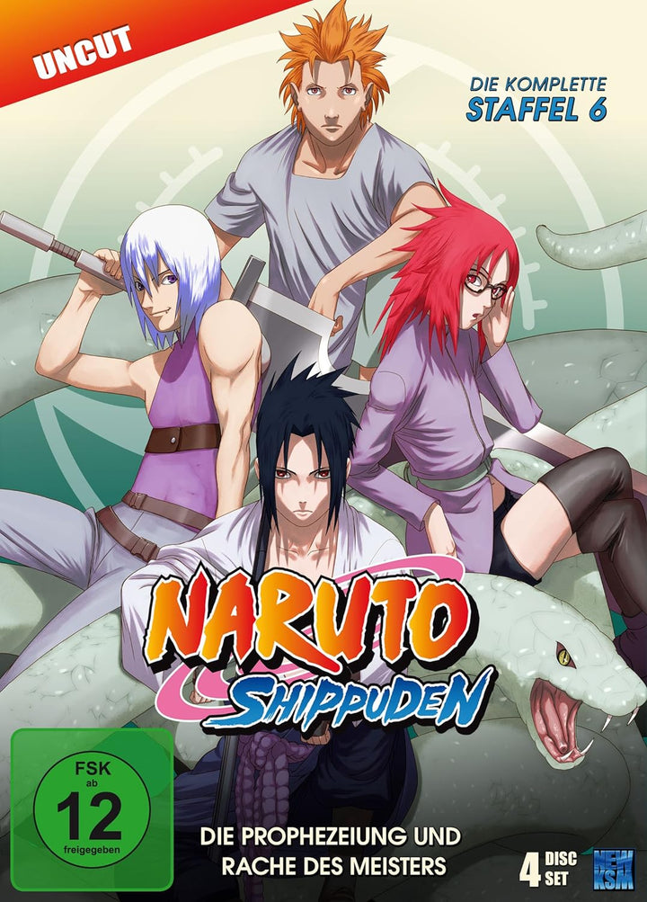 Naruto Shippuden, Staffel 6: Die Prophezeiung und Rache des Meisters (Episoden 333-363, uncut) [4 DV