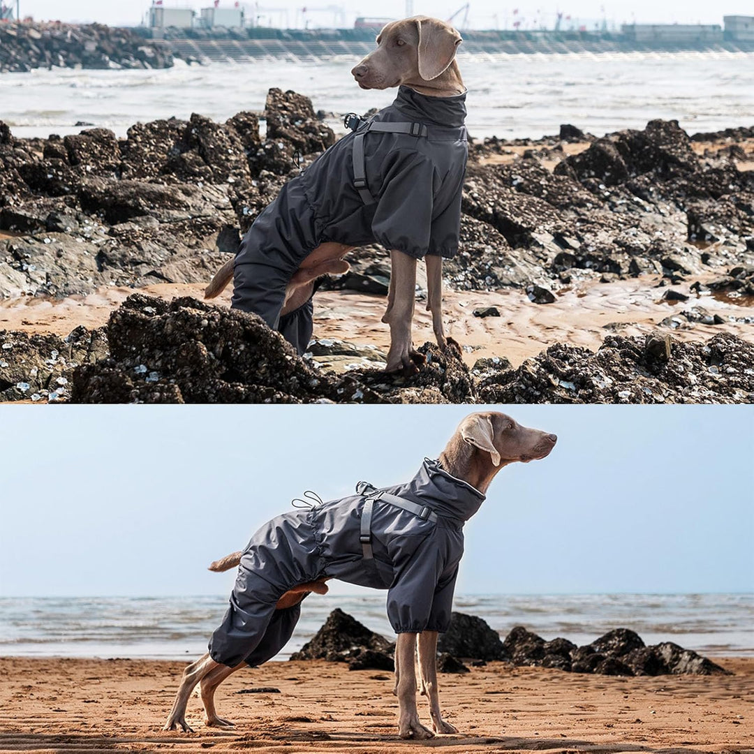 Hundegeschirr, Regenmantel, verstellbar, 4 Beine, Hundejacke mit Geschirr, reflektierender Overall,