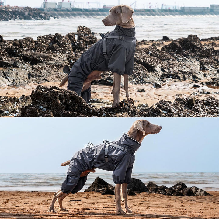 Hundegeschirr, Regenmantel, verstellbar, 4 Beine, Hundejacke mit Geschirr, reflektierender Overall,