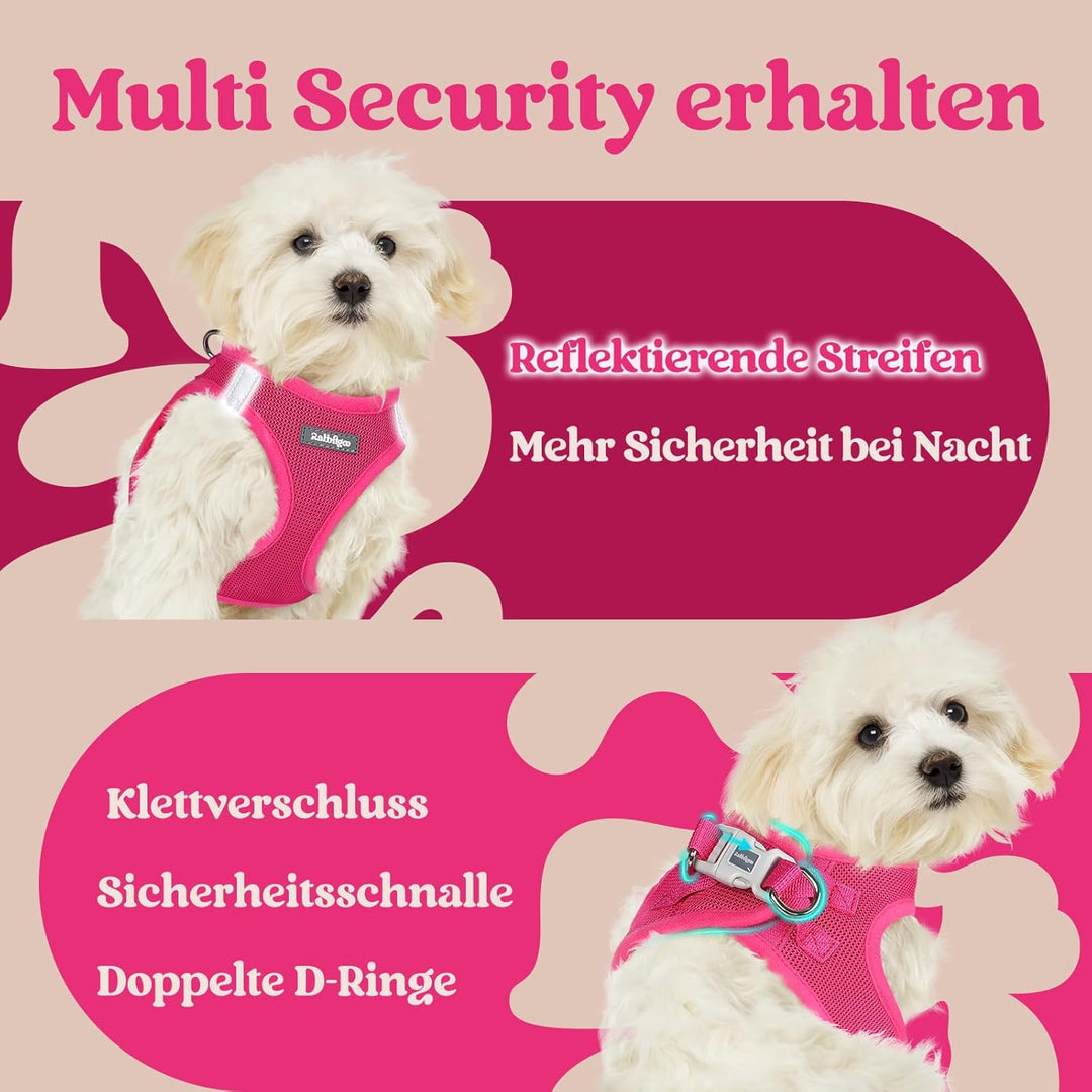 rabbitgoo Hundegeschirr Kleine Hunde, Step-in Welpengeschirr Weich Mesh für Spaziergänge, Atmungsakt