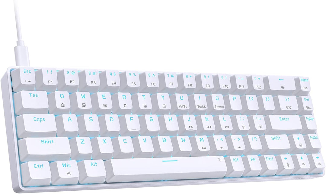 Dierya×TMKB T68se Gaming Mechanische Tastatur,60% Prozent Tastatur mit Blue Clicky Switch,Ultra-Comp