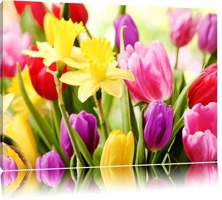 Farbenfrohe Osterglocken und Tulpen Format: 100x70 auf Leinwand, XXL riesige Bilder fertig gerahmt m