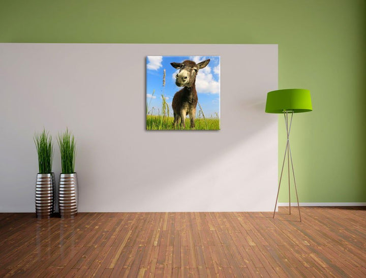 Pixxprint Esel in einem Feld als Leinwandbild/Grösse: 70x70 cm/Wandbild/Kunstdruck/fertig bespannt,