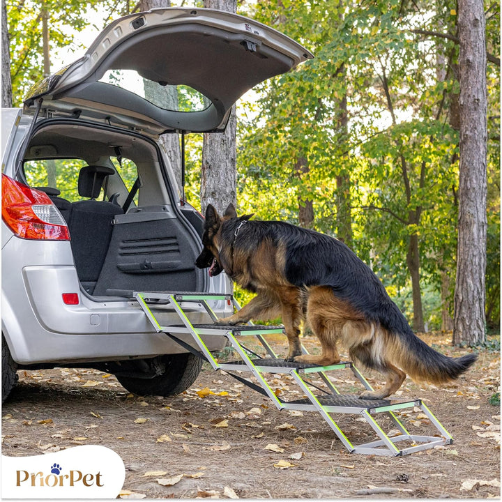 Hundetreppe Auto Klappbar – Extra breite Hundetreppe für Grosse Hunde – Für hohe Autos – Leuchtend i