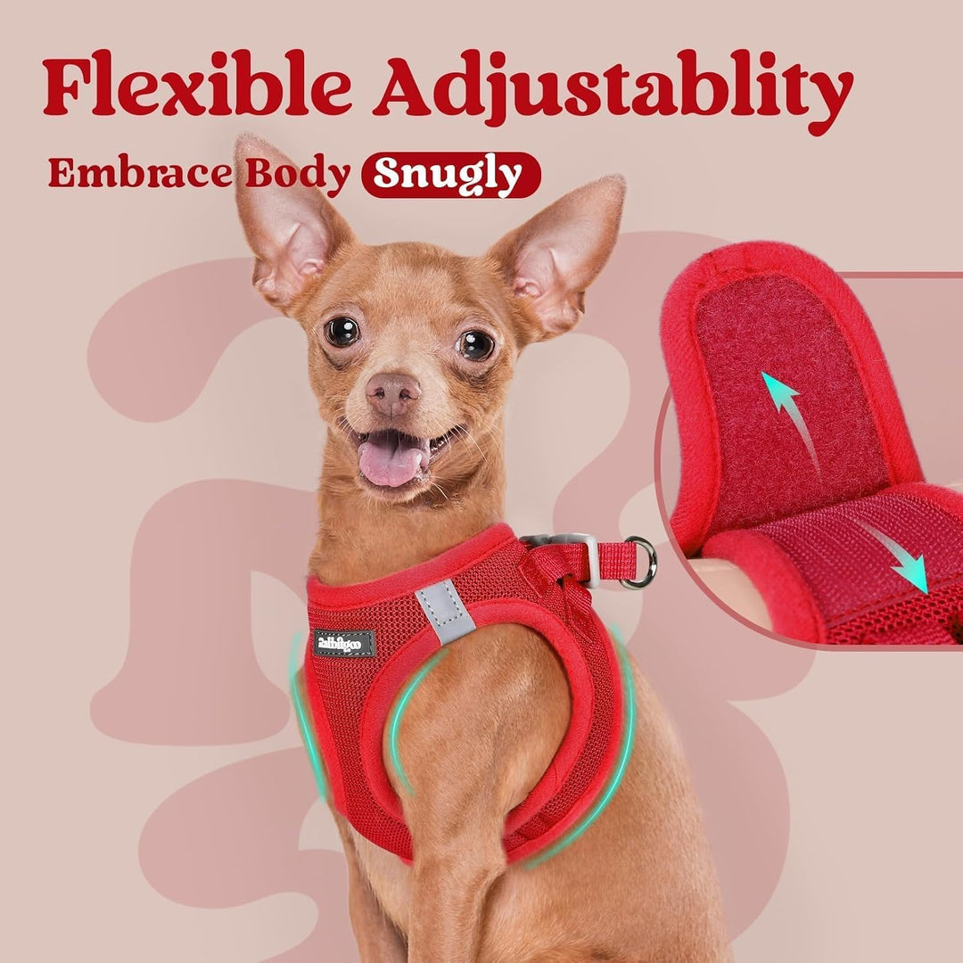 rabbitgoo Hundegeschirr Kleine Hunde, Step-in Weiches Mesh, Rot | Einfach anzulegen, Atmungsaktiv &amp;