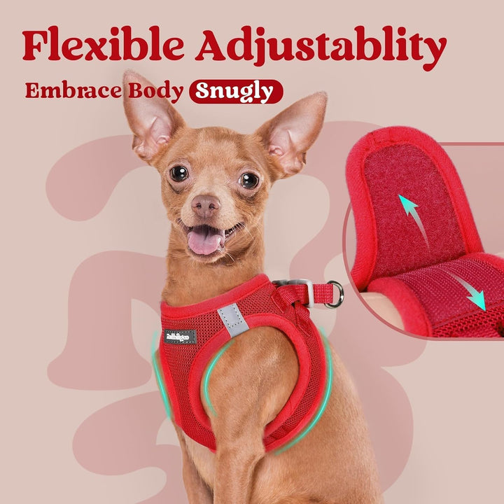 rabbitgoo Hundegeschirr Kleine Hunde, Step-in Weiches Mesh, Rot | Einfach anzulegen, Atmungsaktiv &amp;