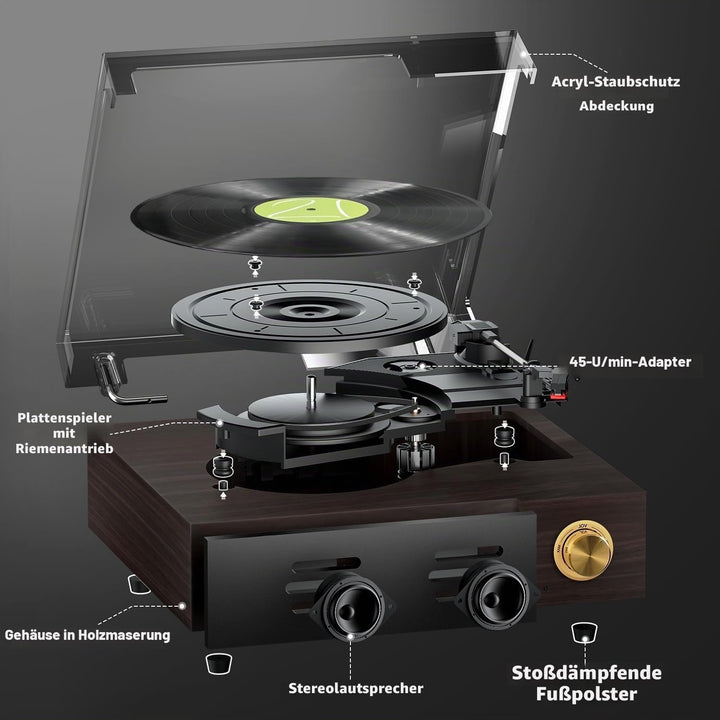 FYDEE Vintage Vinyl Plattenspieler mit integrierten Lautsprechern, Bluetooth 5.4 Vinyl-Player, 3 Ges