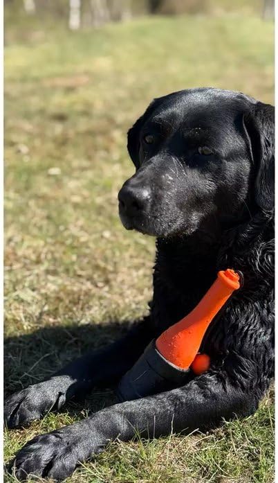 Bobber – 23 cm – Hundespielzeug – Hundeball – Für grosse Hunde geeignet – Schwimmendes Apportierspie