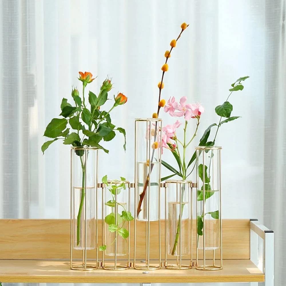 Nother Reagenzglas-Vase für Blumen, Glasvase mit Metallständer, Hydrokultur-Reagenzglasvase, 5er-Set