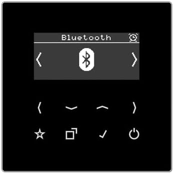 Jung DAB LS BT SW Smart-Radio, DAB+ und Bluetooth, Schwarz Schwarz (Black), Schwarz (Black)