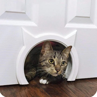 The Kitty Pass Katzentür für Katzen mit einem Fassungsvermögen von bis zu 7 kg Weiss, Weiss