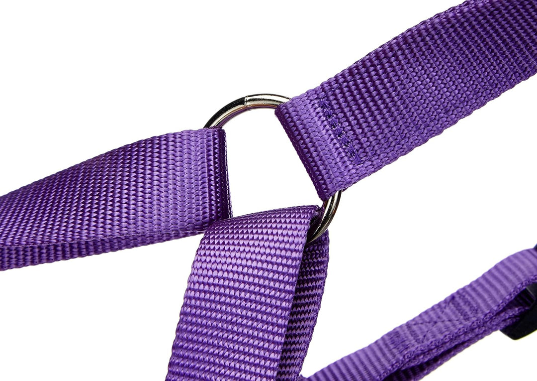 Nobby Geschirr Classic, lila Brust: 70/90 cm, B: 25 mm, 1 Stück lila Länge 70-90 cm; Breite 25 mm, l