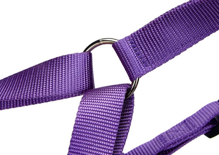 Nobby Geschirr Classic, lila Brust: 70/90 cm, B: 25 mm, 1 Stück lila Länge 70-90 cm; Breite 25 mm, l