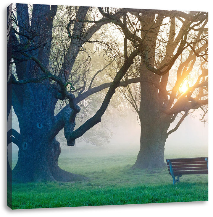 Baum und Bank im Nebel, Format: 70x70 auf Leinwand, XXL riesige Bilder fertig gerahmt mit Keilrahmen