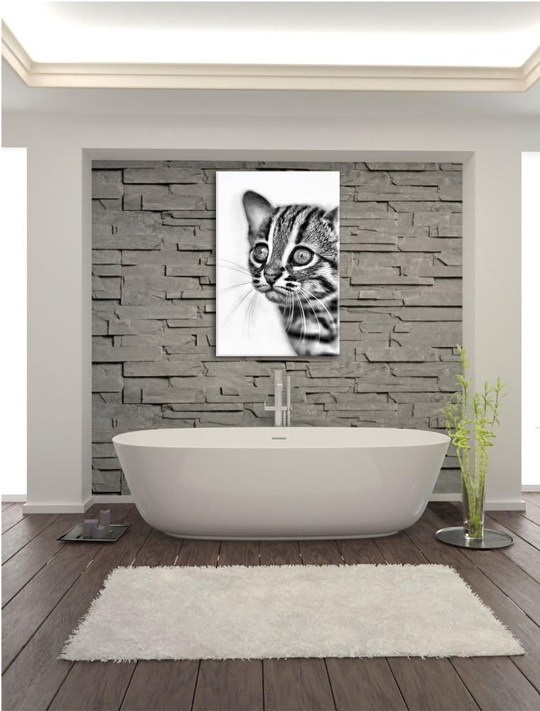 Pixxprint Monocrome, Junge Marmorkatze, Format: 100x70 auf Leinwand, 100x70