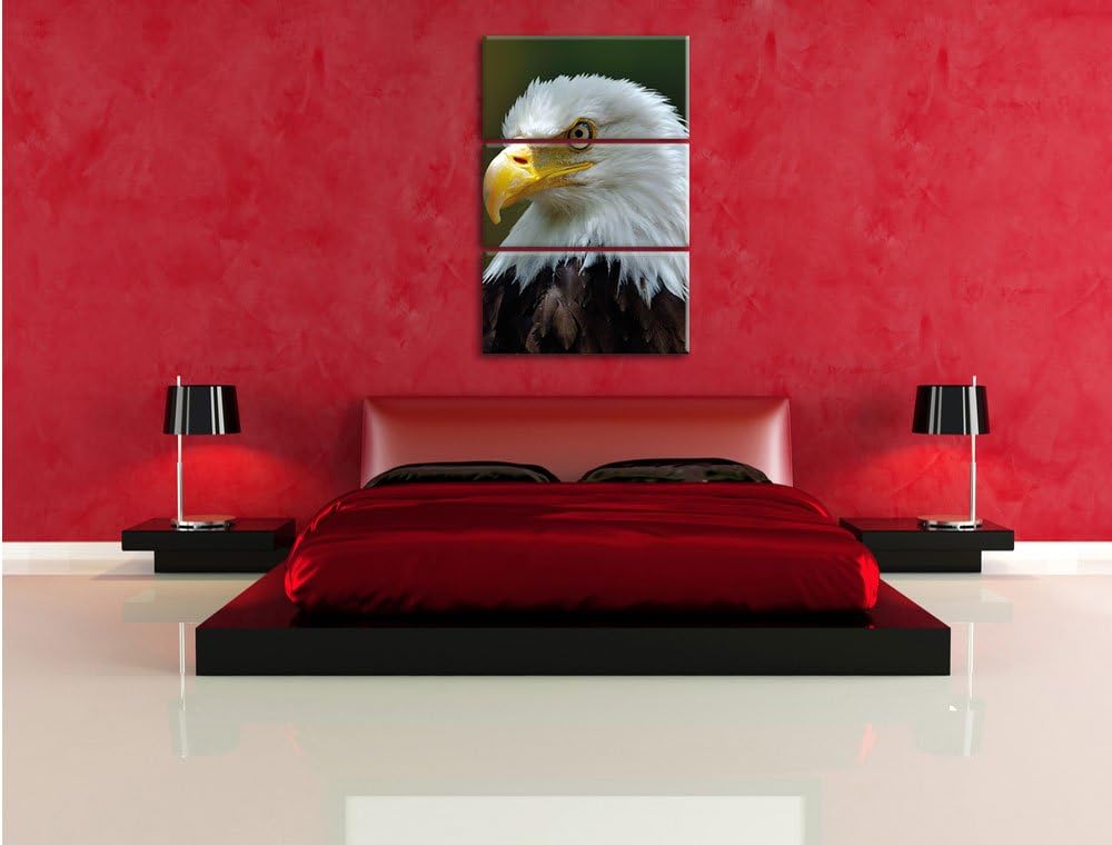 Pixxprint Niedliches Känguru als Leinwandbild/Grösse: 3 Teilig (120x80) / Wandbild/Kunstdruck/fertig