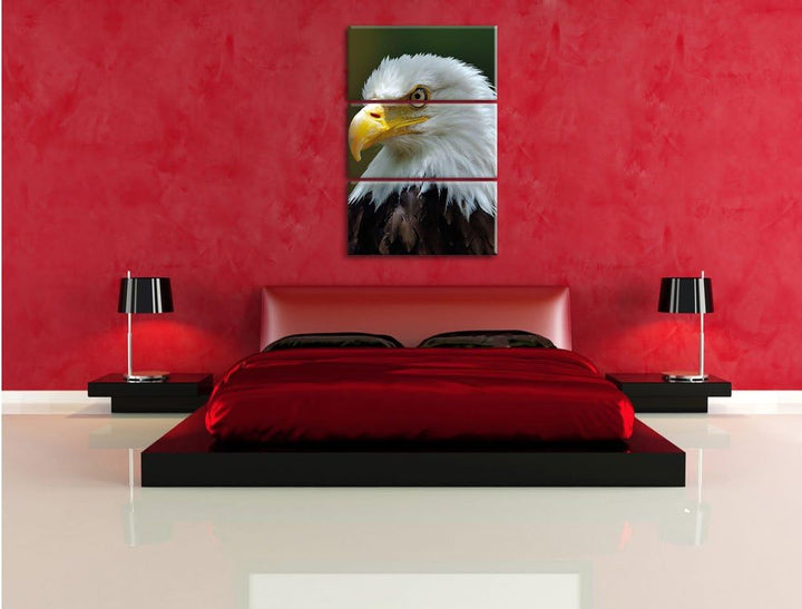 Pixxprint Niedliches Känguru als Leinwandbild/Grösse: 3 Teilig (120x80) / Wandbild/Kunstdruck/fertig