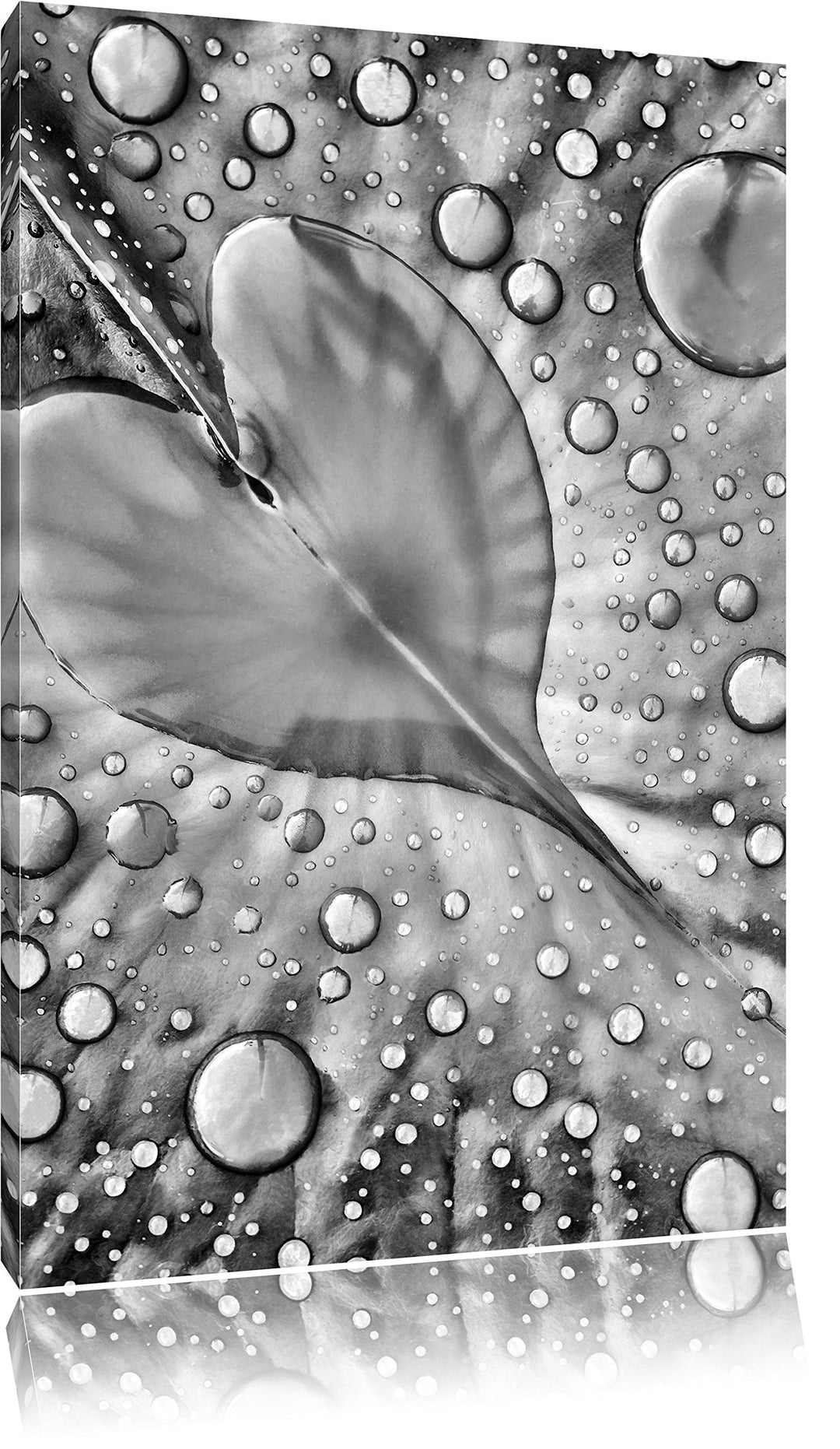 Pixxprint Herz aus Tropfen als Leinwandbild/Grösse: 100x70 / Wandbild/Kunstdruck/fertig bespannt, 10
