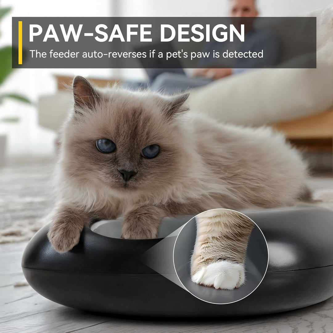 All for Paws Automatischer Katzenfutterautomat Kabellos – für Nass &Trockenfutter mit 2 Kühlakkus, F