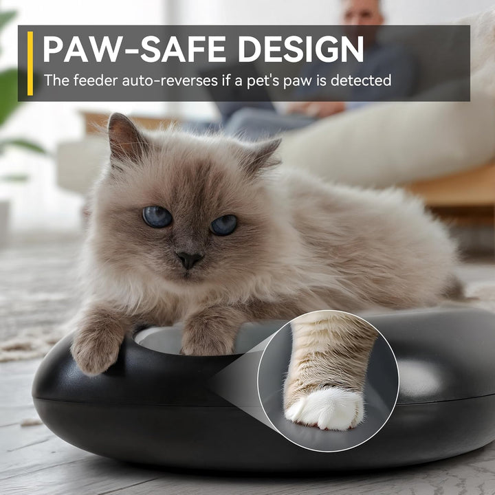 All for Paws Automatischer Katzenfutterautomat Kabellos – für Nass &Trockenfutter mit 2 Kühlakkus, F
