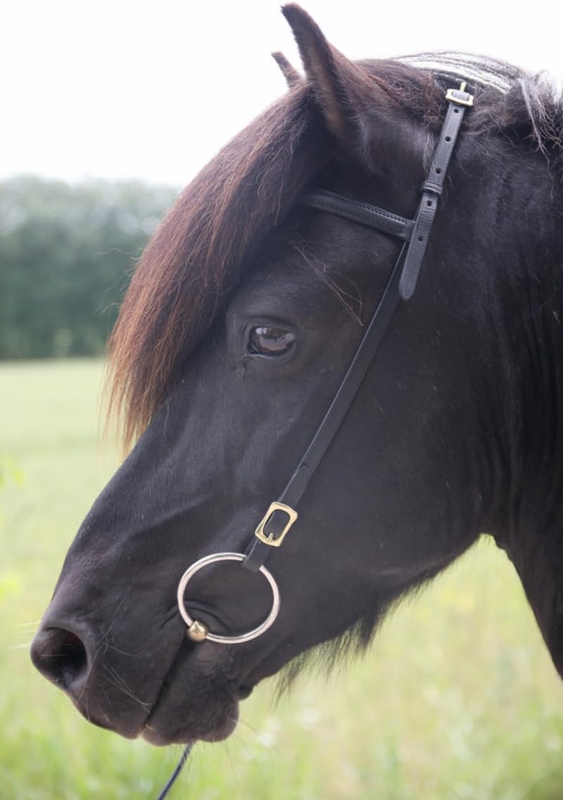 Karlslund Kopfstück Iceland Headstall mit Browband, Chrome