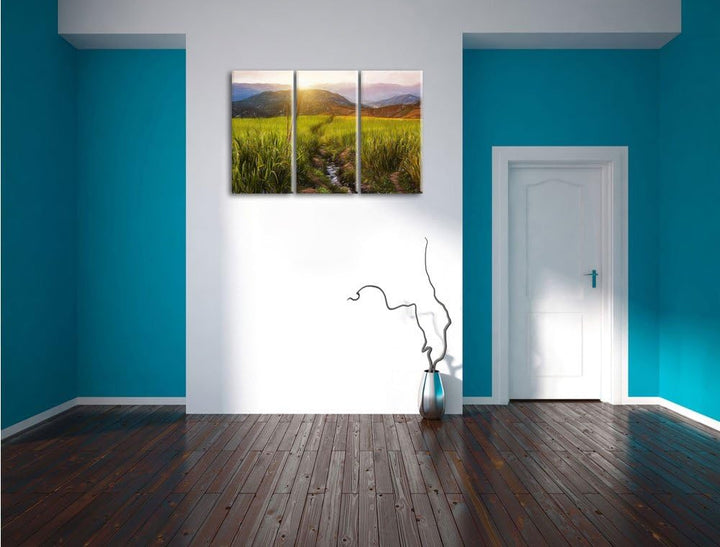 Pixxprint Reisfeld Plantage in Asien als Leinwandbild/Grösse: 3 Teilig (120x80) / Wandbild/Kunstdruc