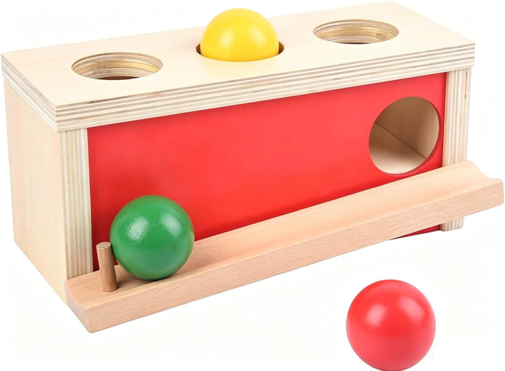 Montessori Spielzeug ab 1 Jahr, Baby Holzspielzeug ab 9 Monate, Objektpermanenz Box für Baby 12-18 M