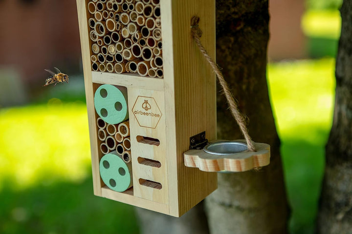 Boxer Gifts Air Bee'n'Bee Insektenhaus | Wildtiergeschenk für den Garten | tolles lustiges Geschenk