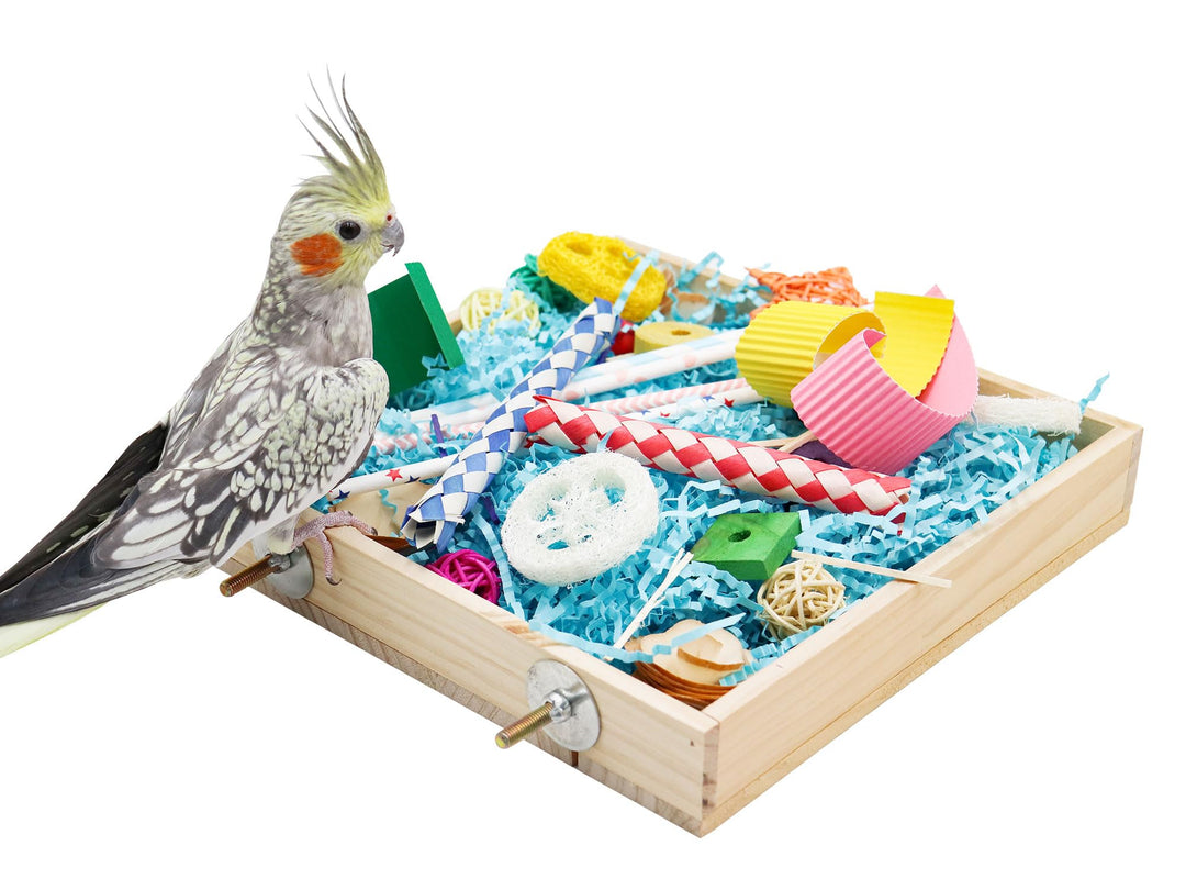 Vogel-Foraging-Spielzeugbox, Holz-Papageien-Schredder-Spielzeugbox, Vogel-Kau-Spielzeuge, Vogelkäfig