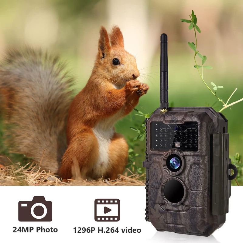 BlazeVideo Wildkamera WLAN Fotofalle WiFi Beutekamera Wildtier Jagdkamera Überwachungskamera 32MP HD