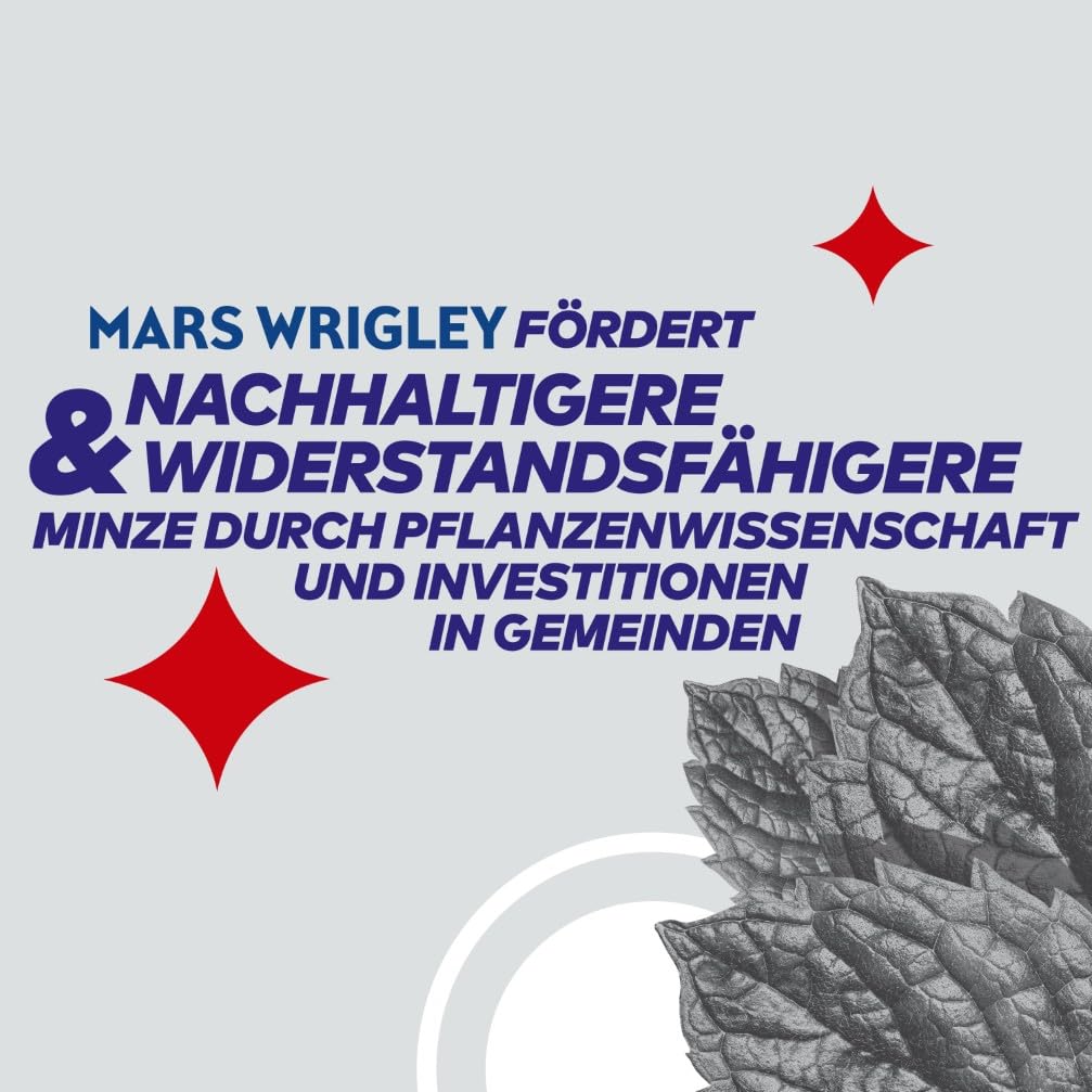 Extra Professional White Himbeere Granatapfel, Zuckerfreier Kaugummi, Multipack mit 30x10 Dragees, F